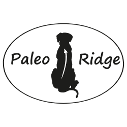 Paleo Ridge -