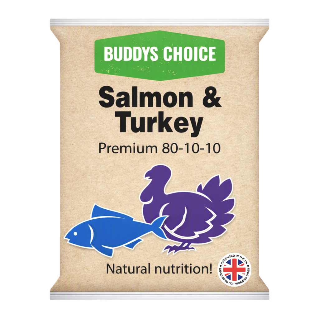 Salmon & Turkey